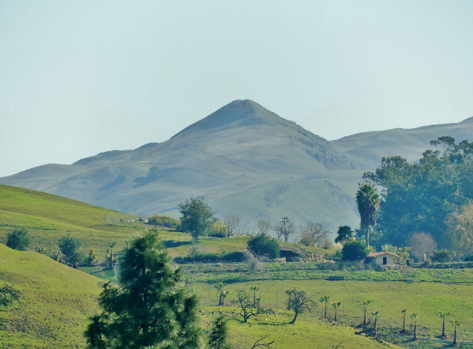 Mission Peak from Stanford Avenue