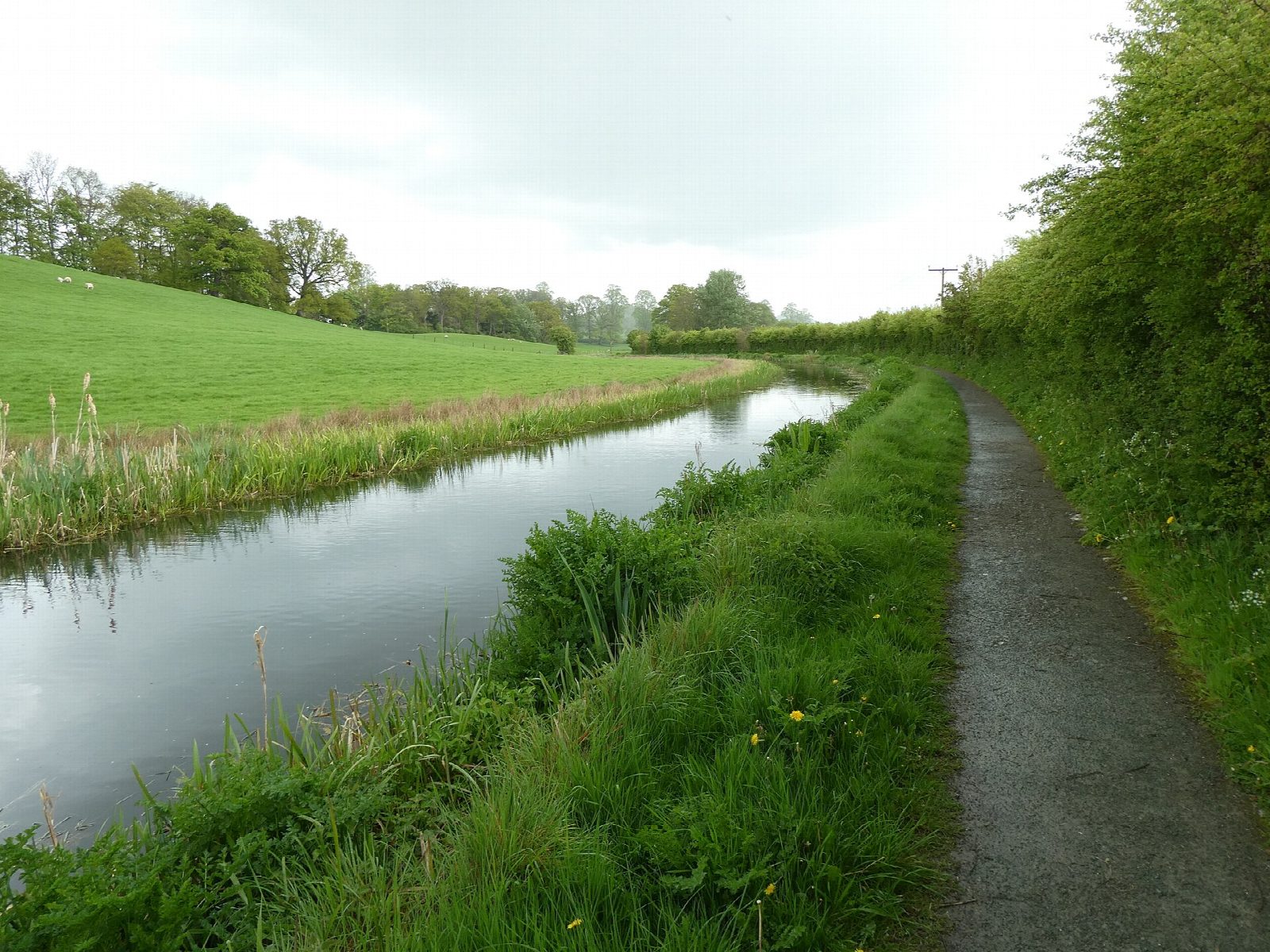 Montgomery Canal: Welshpool to Berriew Lock