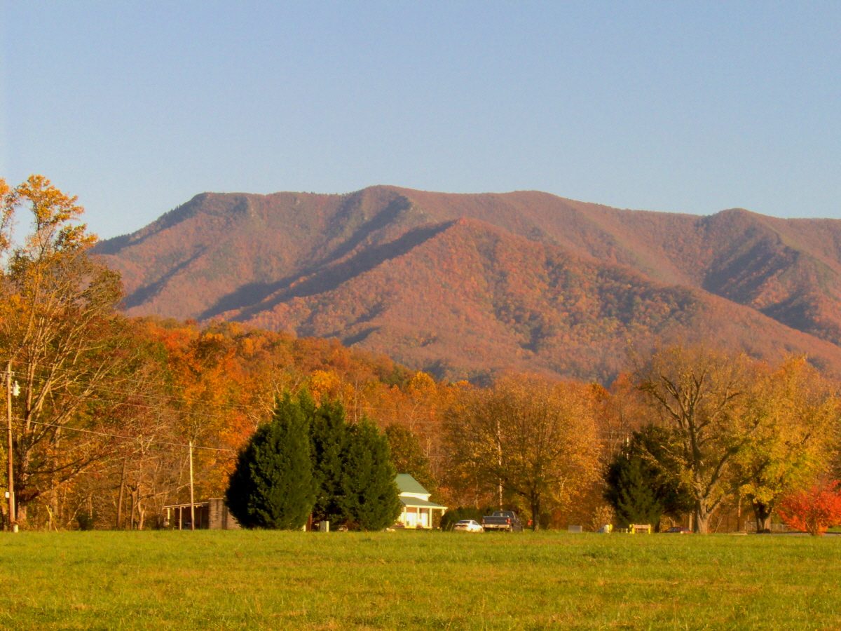 Mount Cammerer from Cosby
