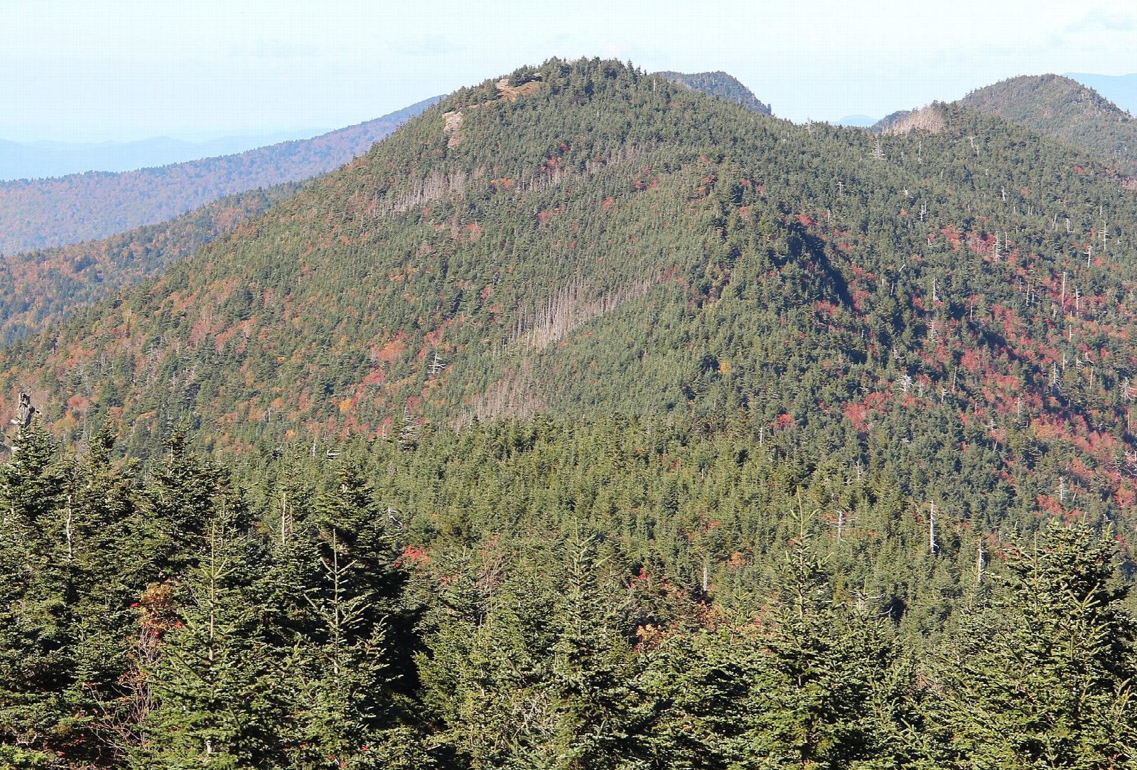 Mount Craig and Big Tom from Mount Mitchell