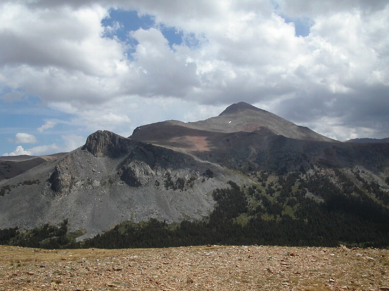 Mount Dana from Tioga Pass