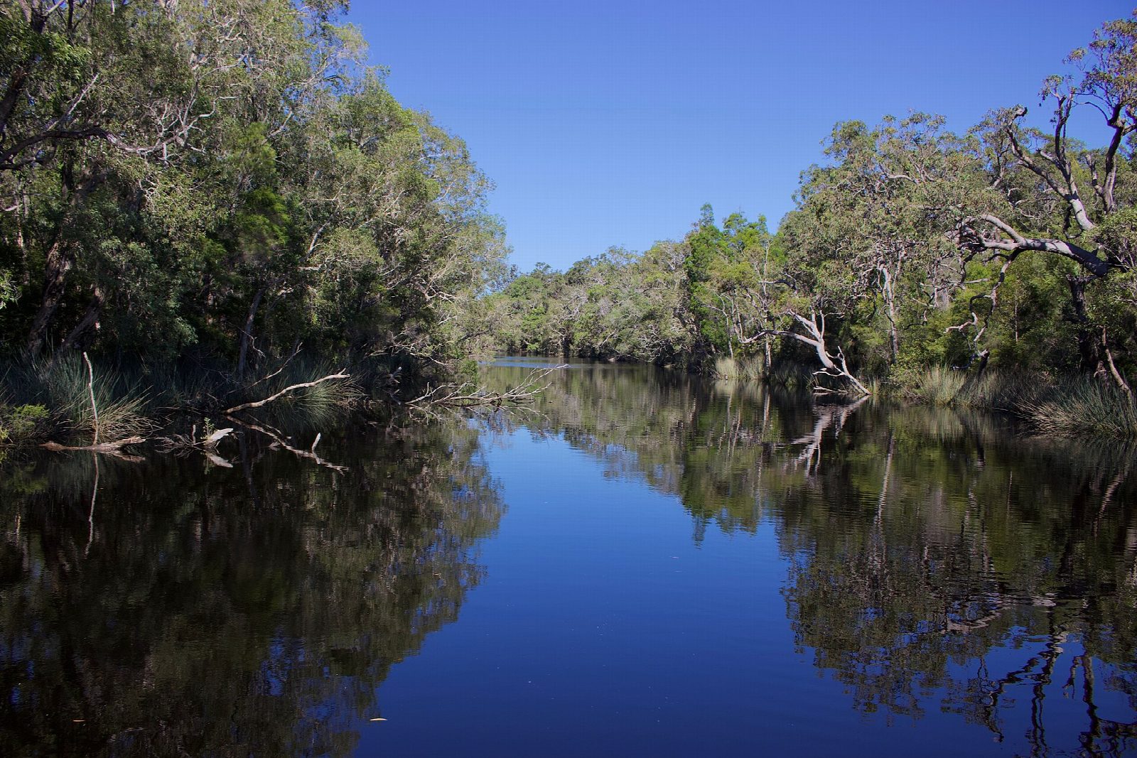 Noosa Everglades: Harry's to campsite 3
