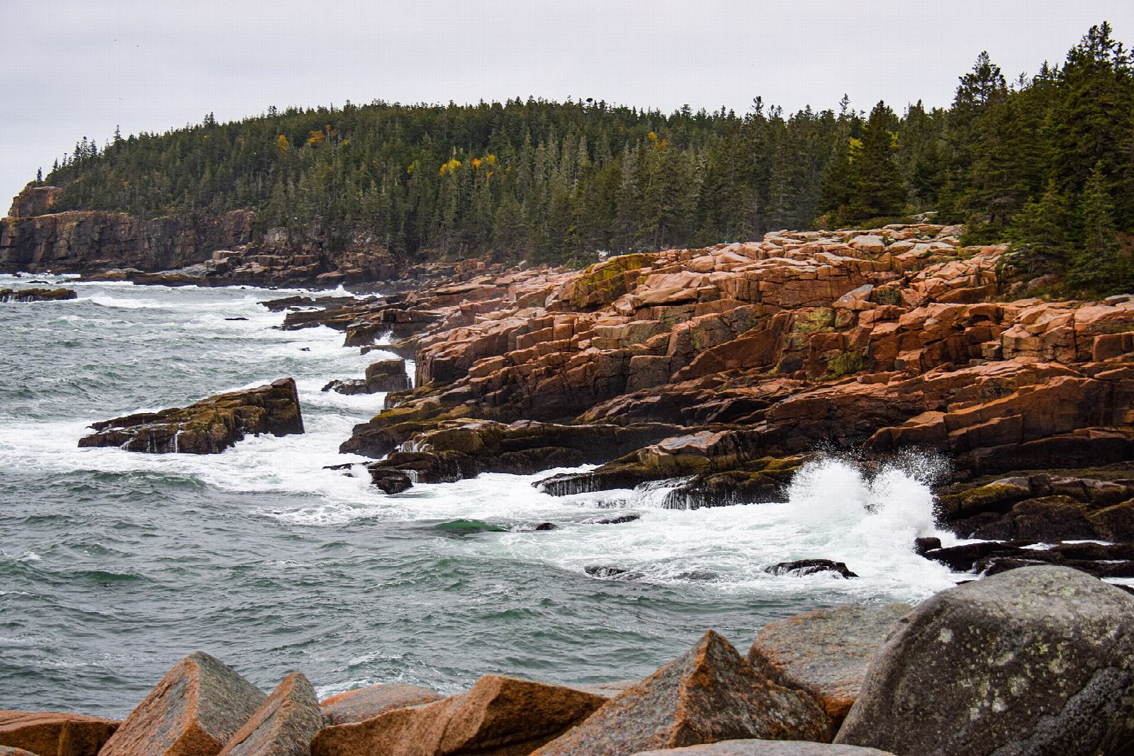 Ocean Path from Sand Beach
