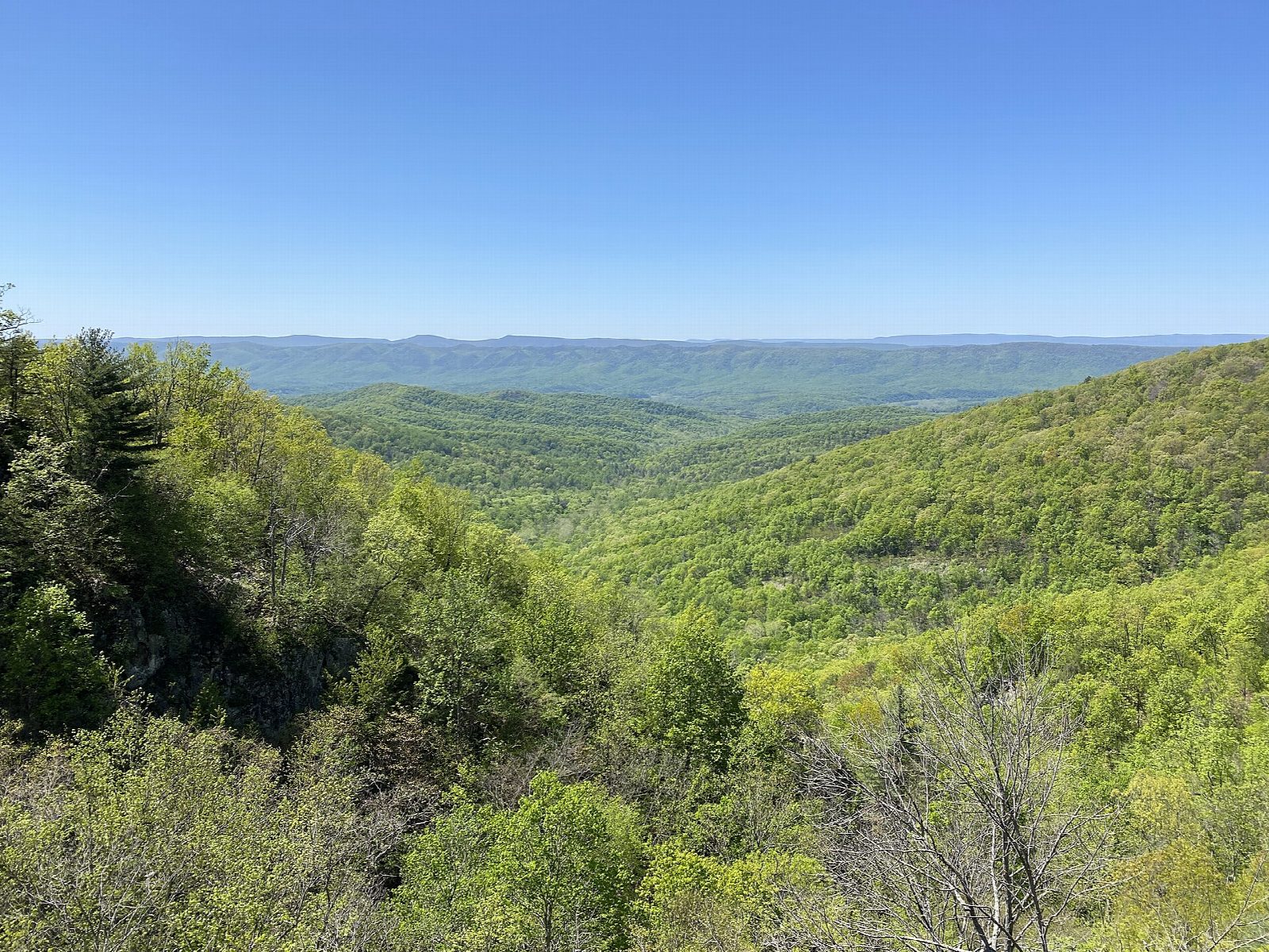 Overall Run Falls from Mathews Arm