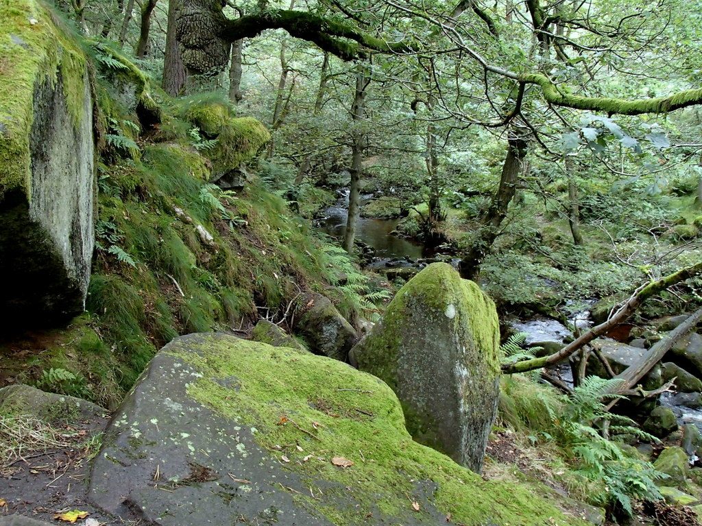 Padley Gorge and the Longshaw Estate