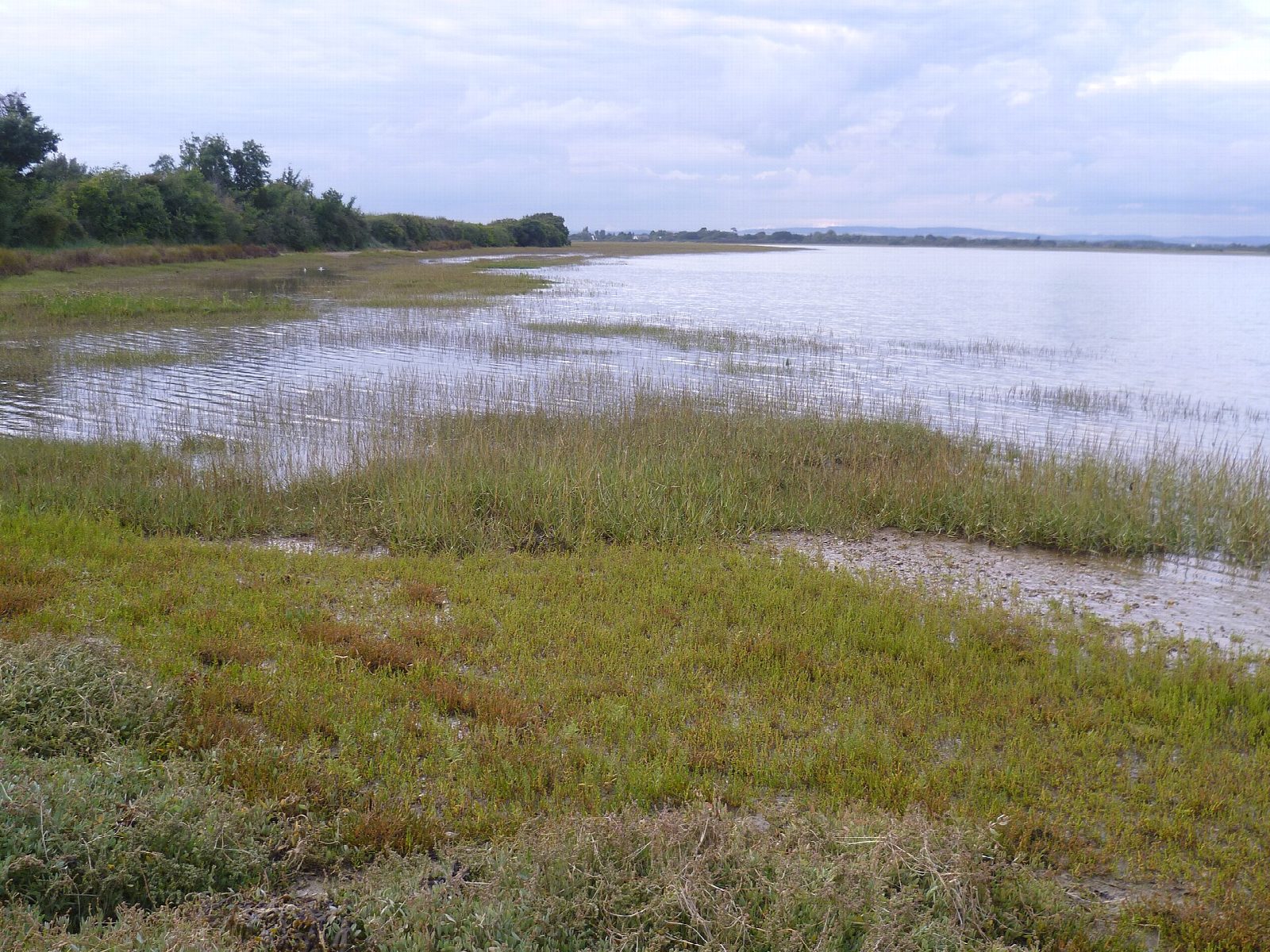 Pagham Harbour to Church Norton