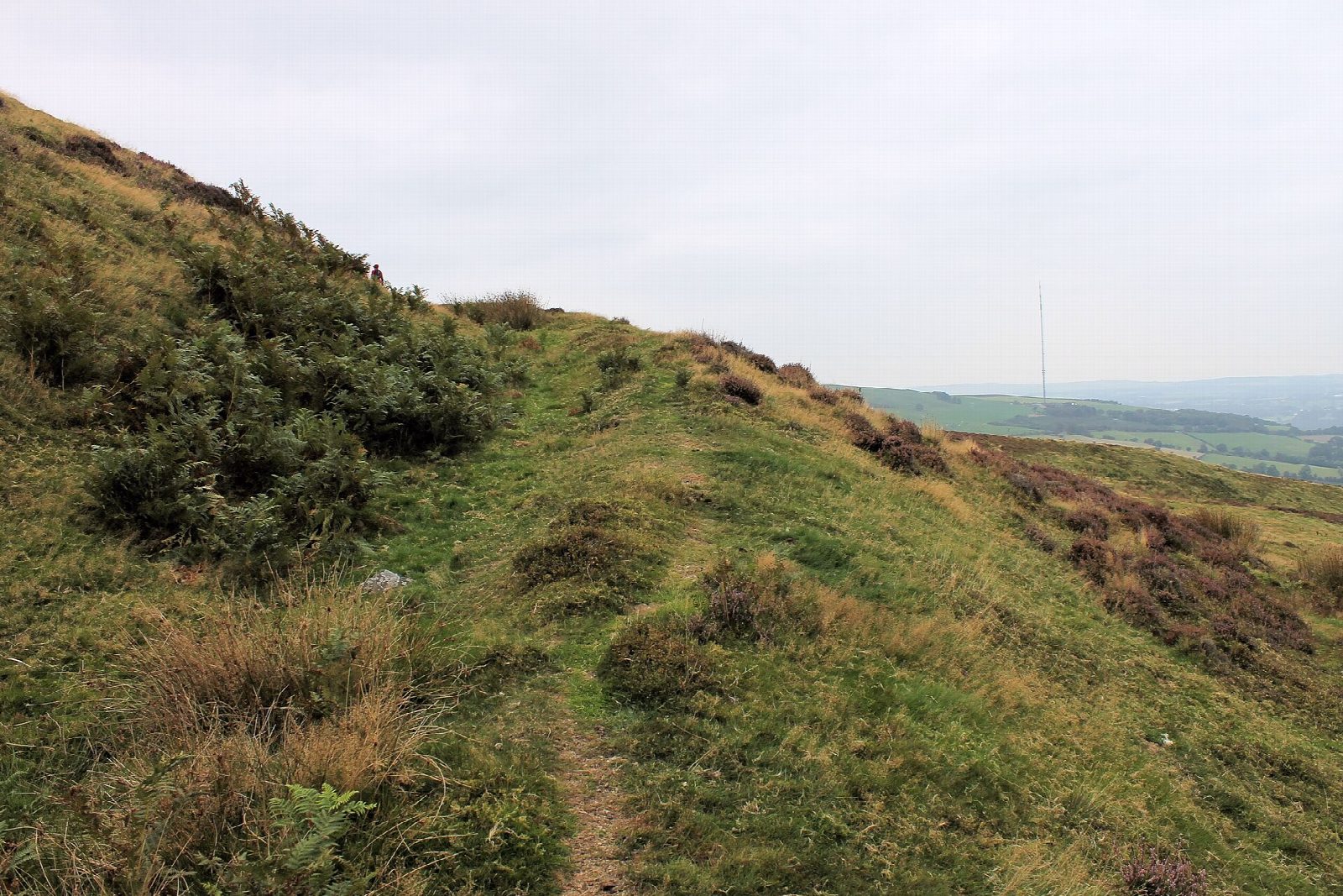 Penycloddiau hillfort from Coed Llangwyfan
