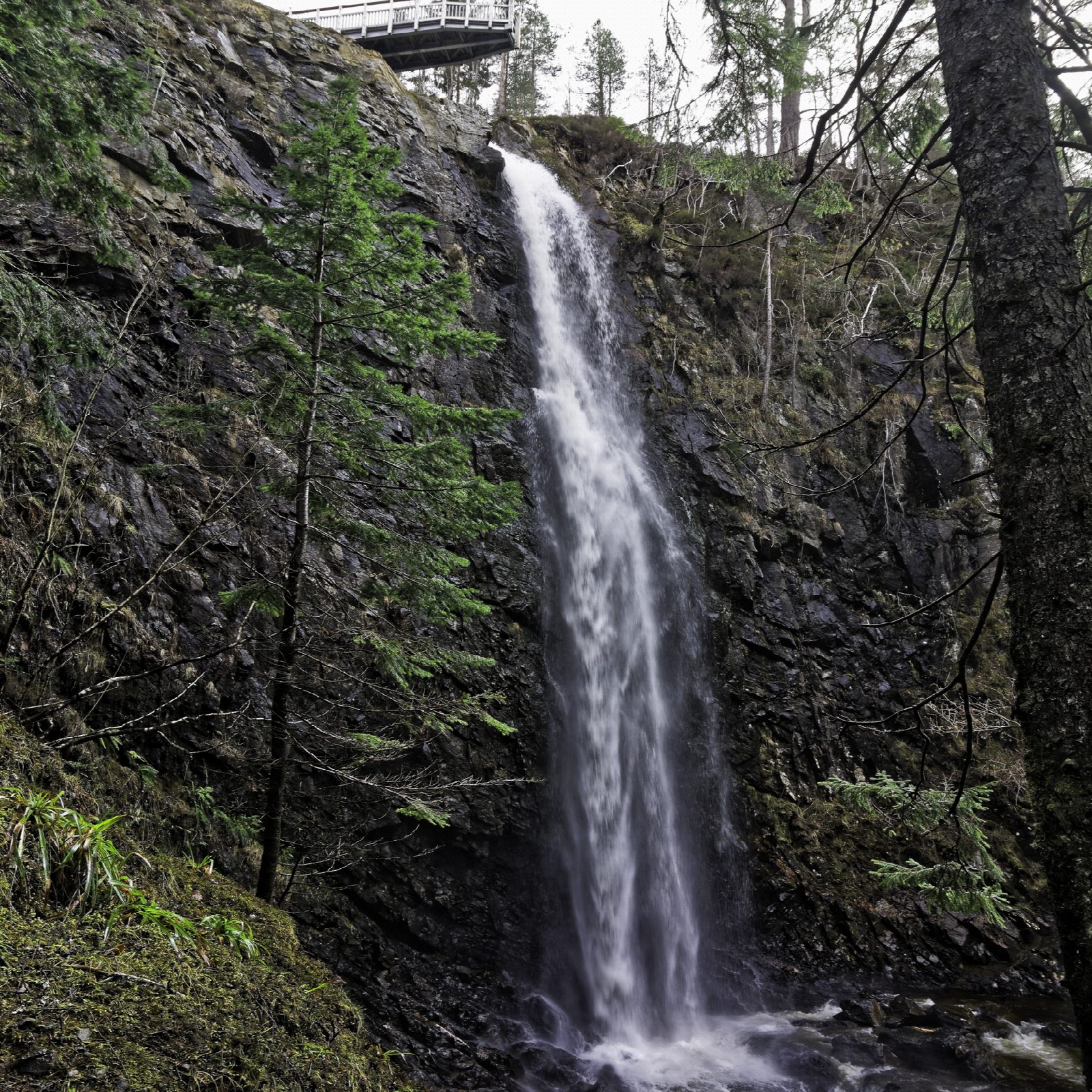 Plodda Falls and the Tweedmouth Trail