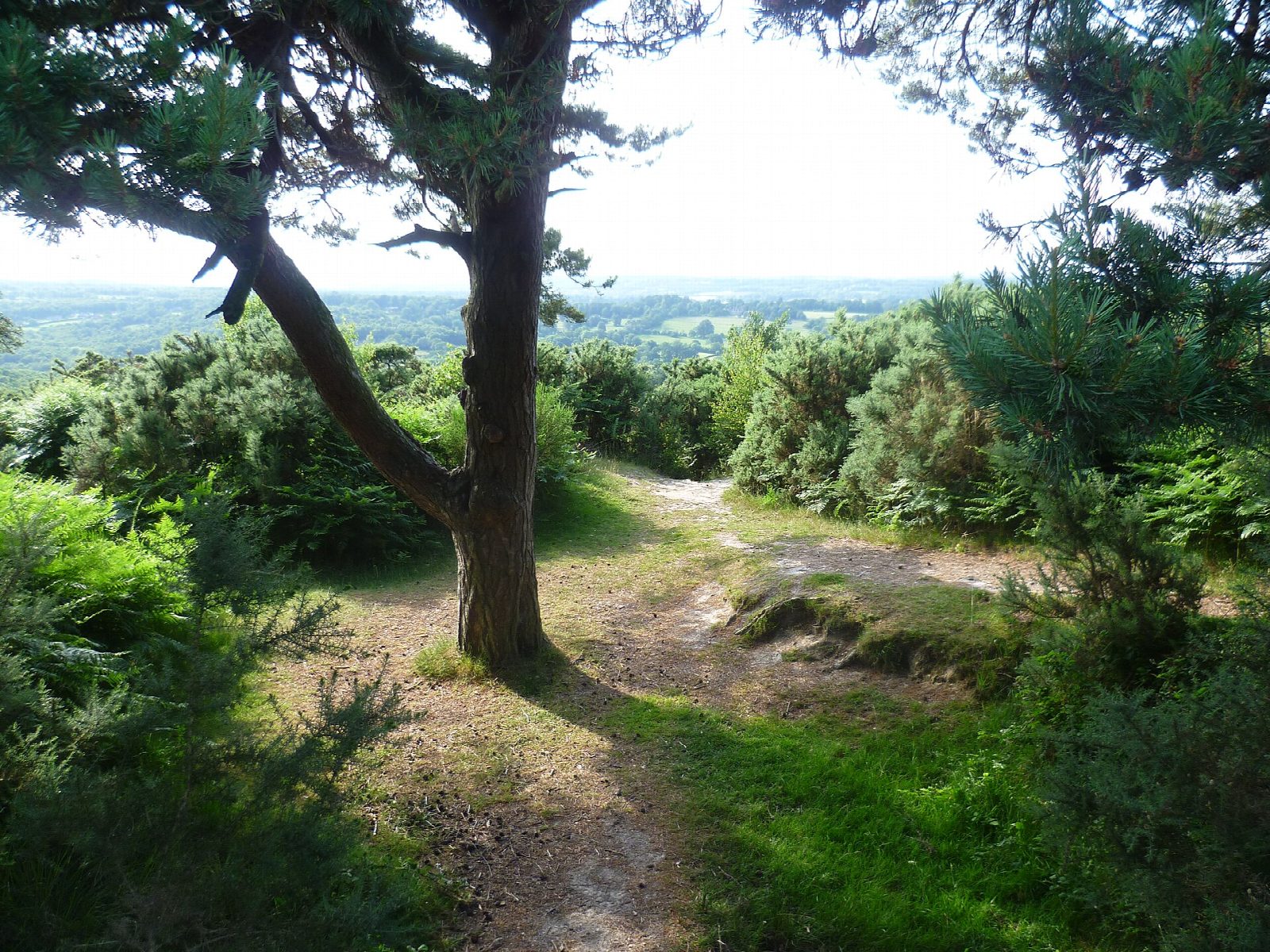 The Pooh walk from Gills Lap