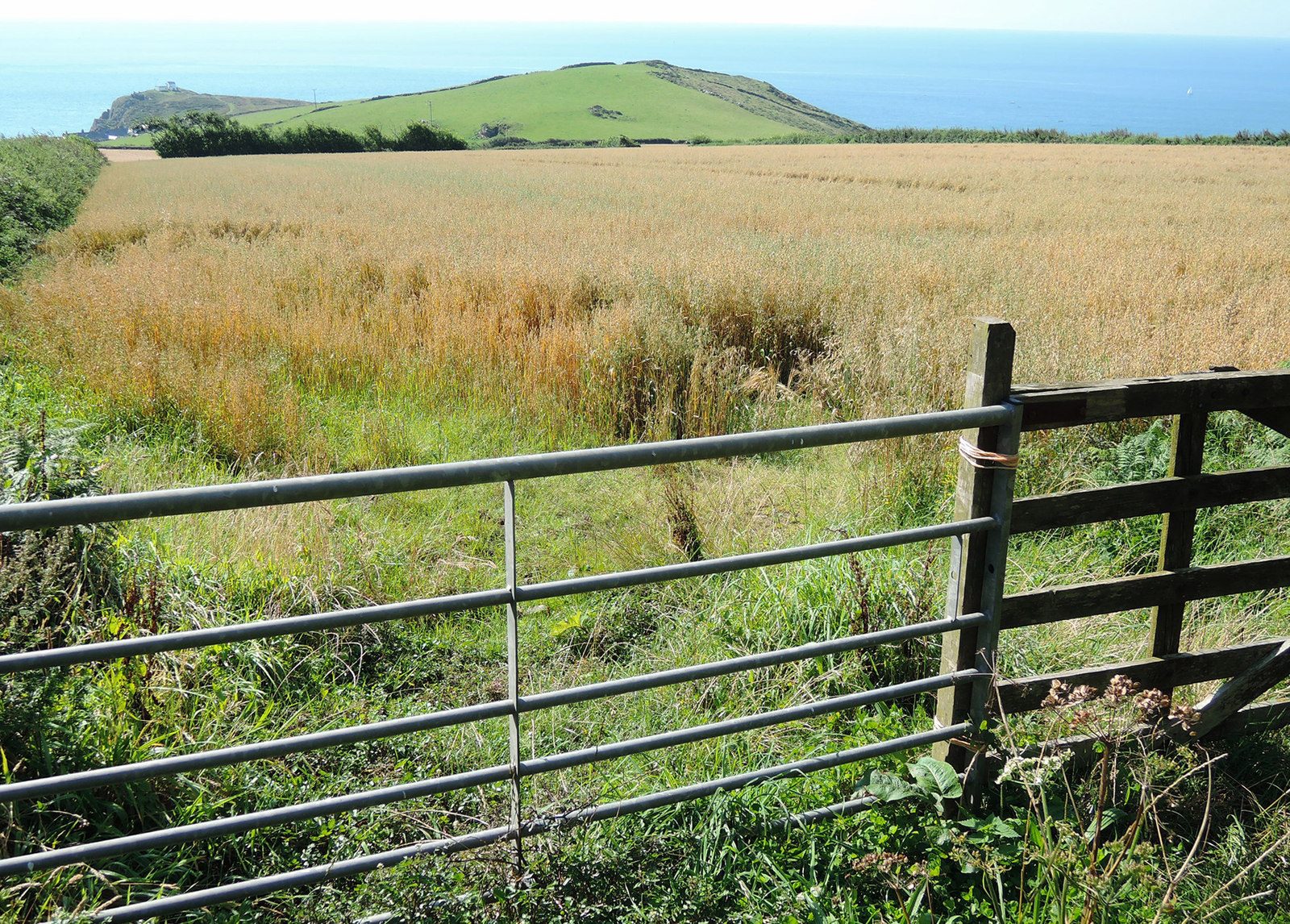 Prawle Point and Gammon Head from East Prawle