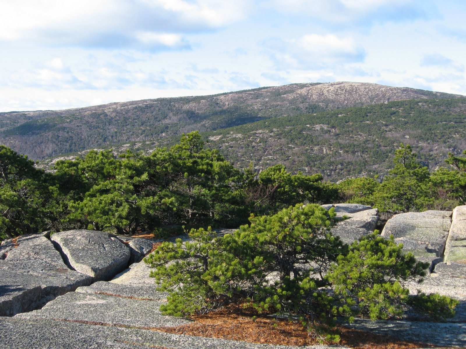 The Precipice Loop, Champlain Mountain