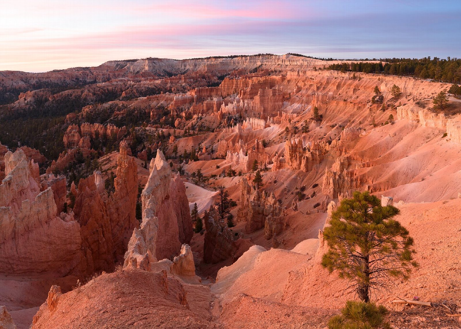 Queen's Garden and Navajo Loop