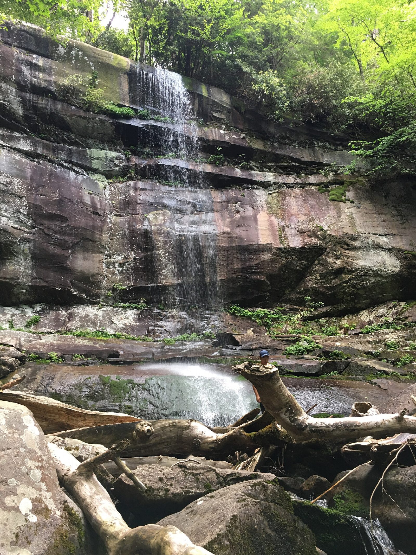 Rainbow Falls Trail