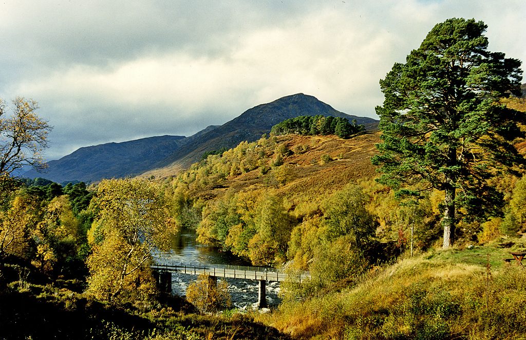 River Affric and Am Meallan viewpoint
