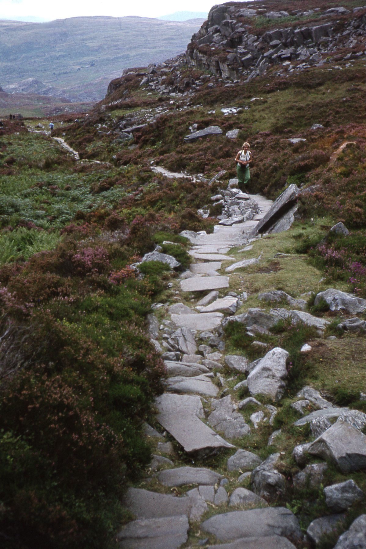 The Roman Steps from Cwm Bychan