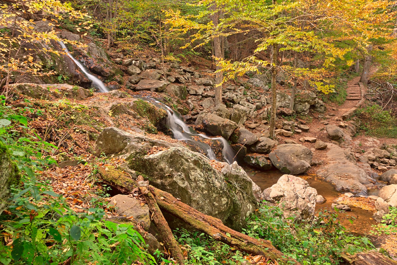 Rose River and Dark Hollow Falls Loop