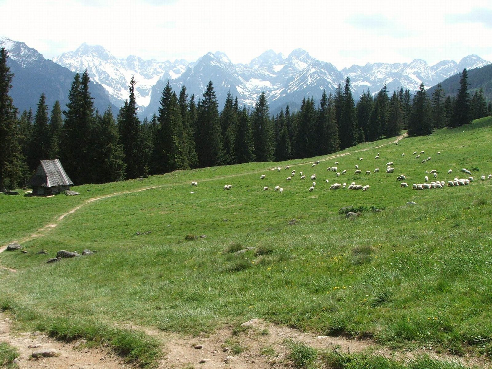Rusinowa Polana and Gęsia Szyja from Wierch Poroniec