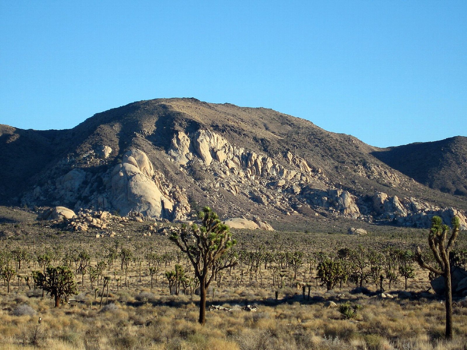Ryan Mountain