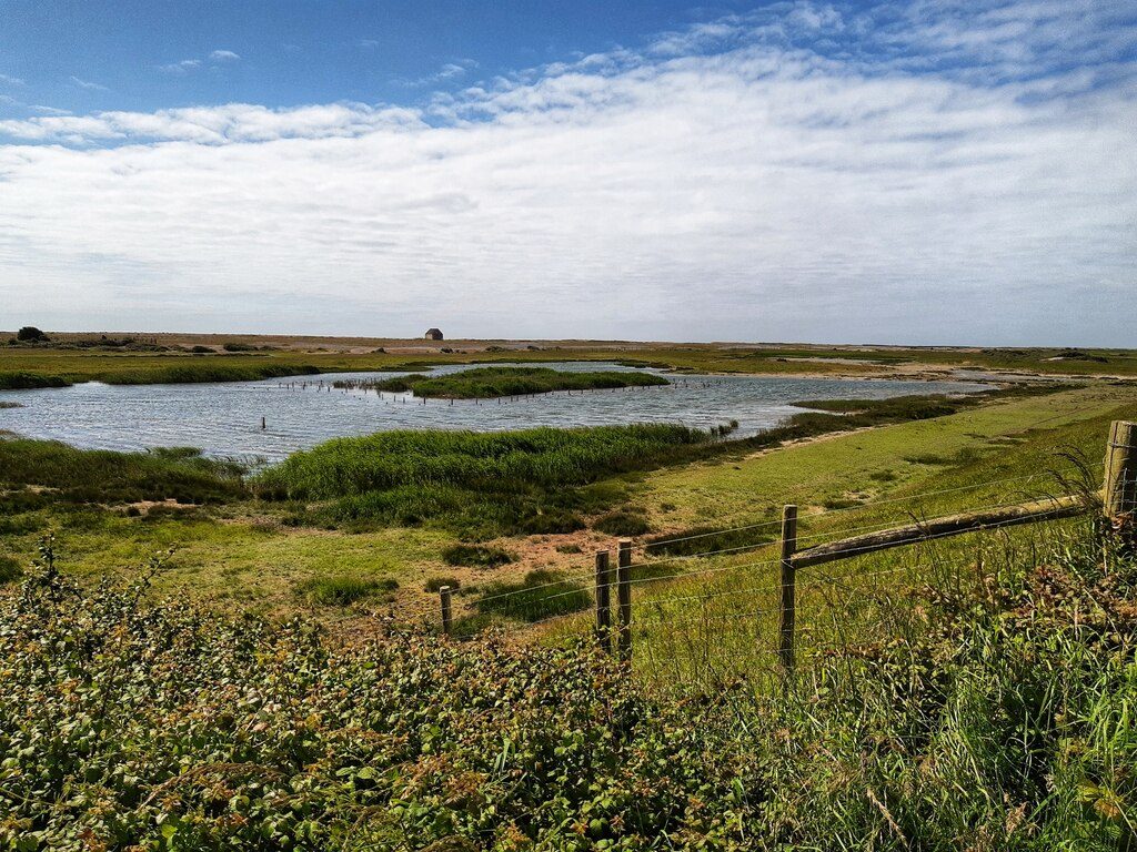 Rye Harbour Nature Reserve