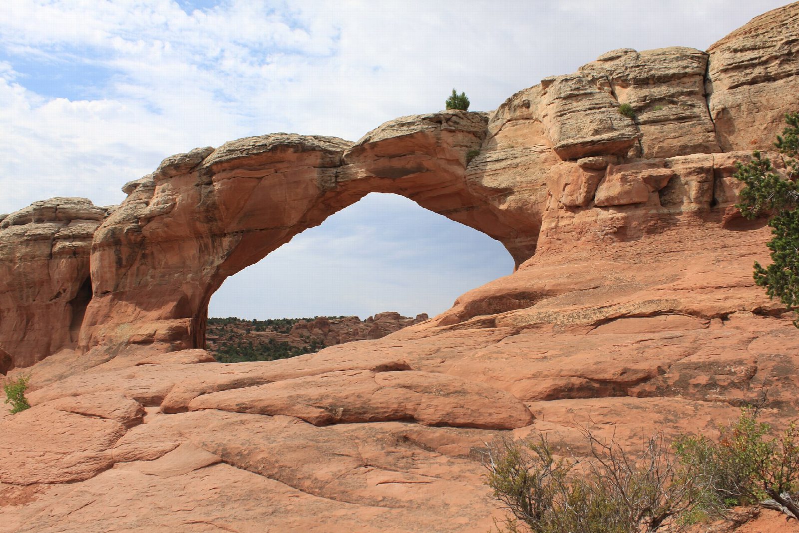 Sand Dune Arch and Broken Arch Loop
