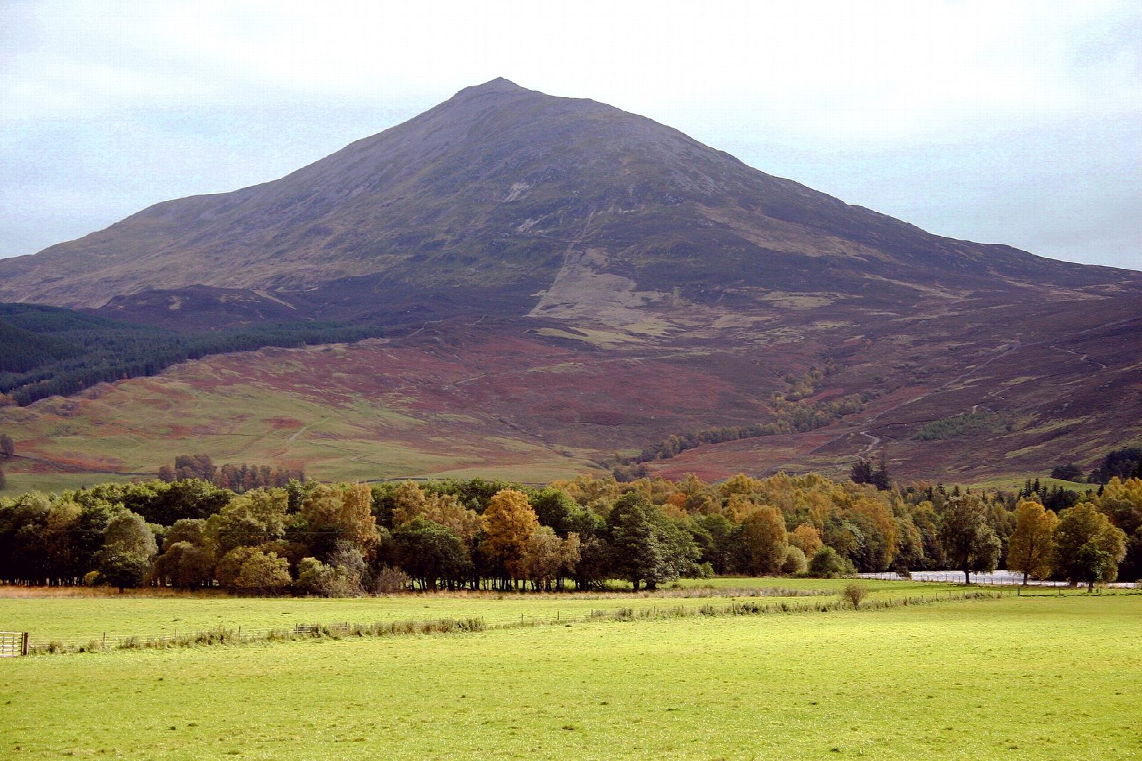 Schiehallion from Braes of Foss
