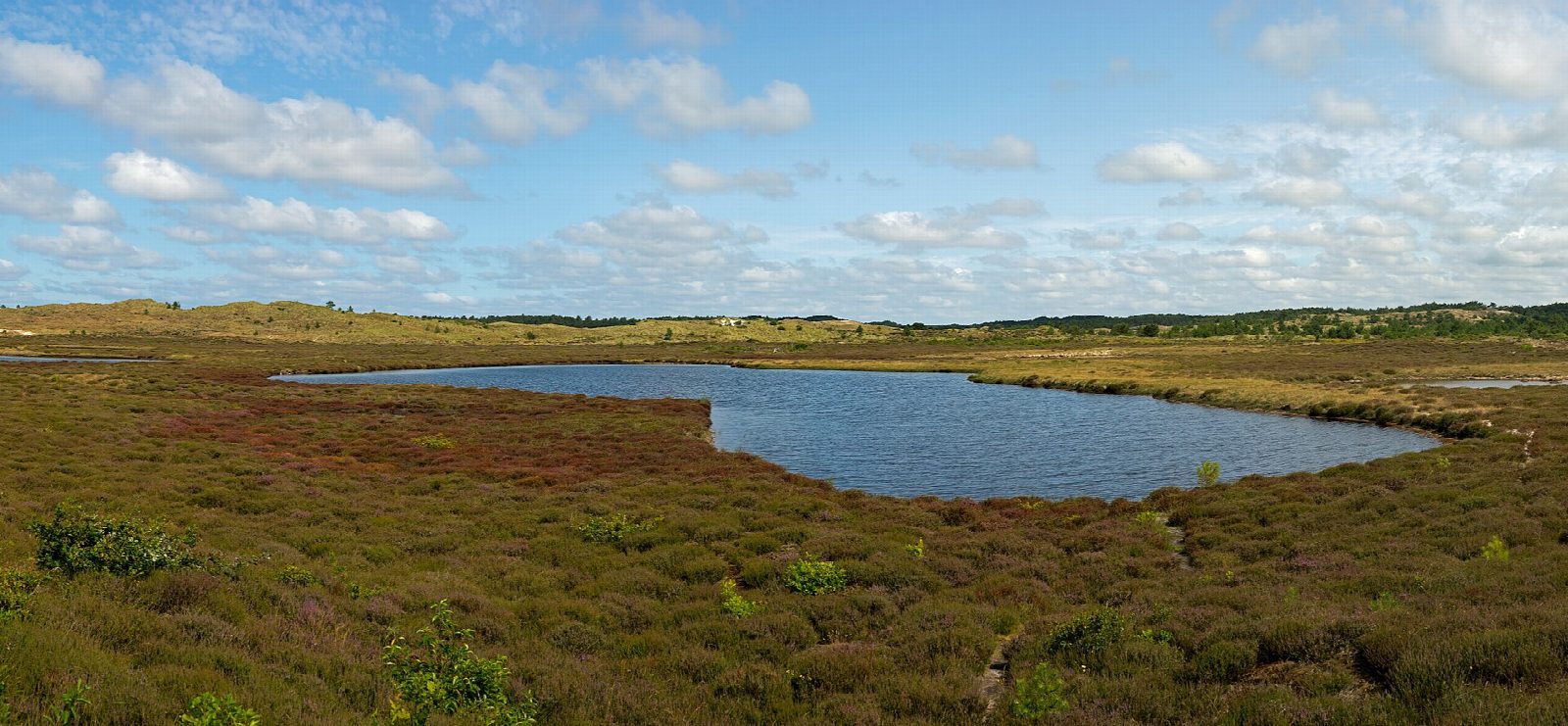 Schoorl dunes: the Klimduin and the North Sea