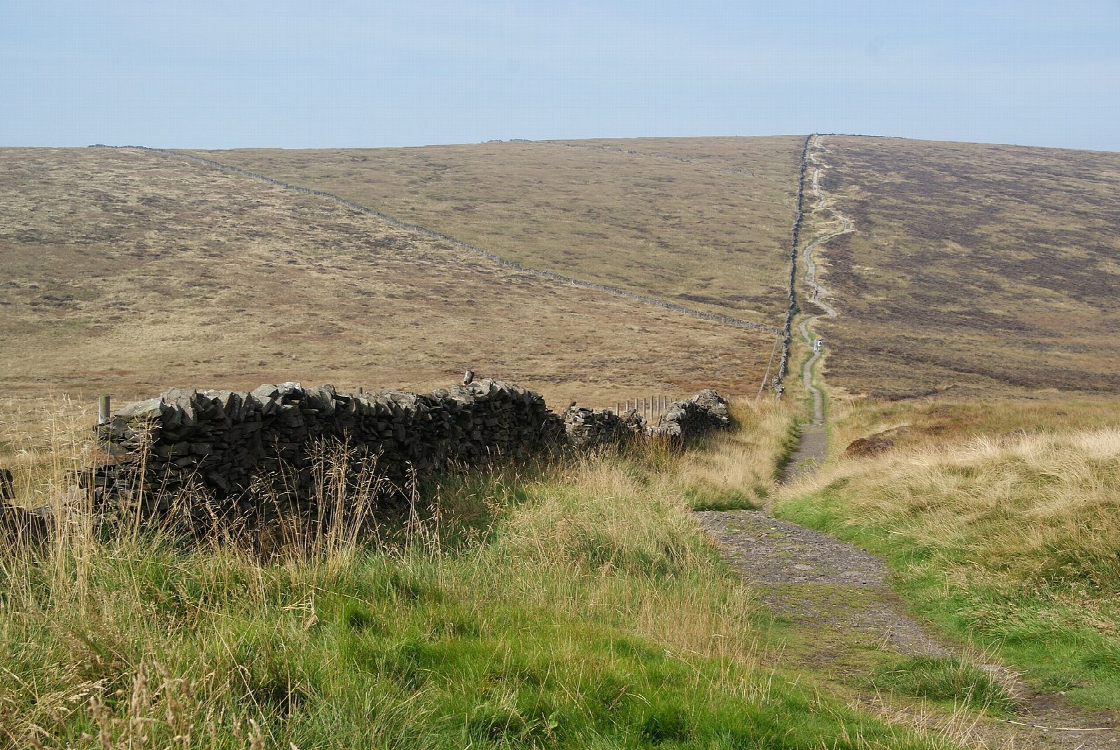 Shining Tor and Cats Tor from Errwood