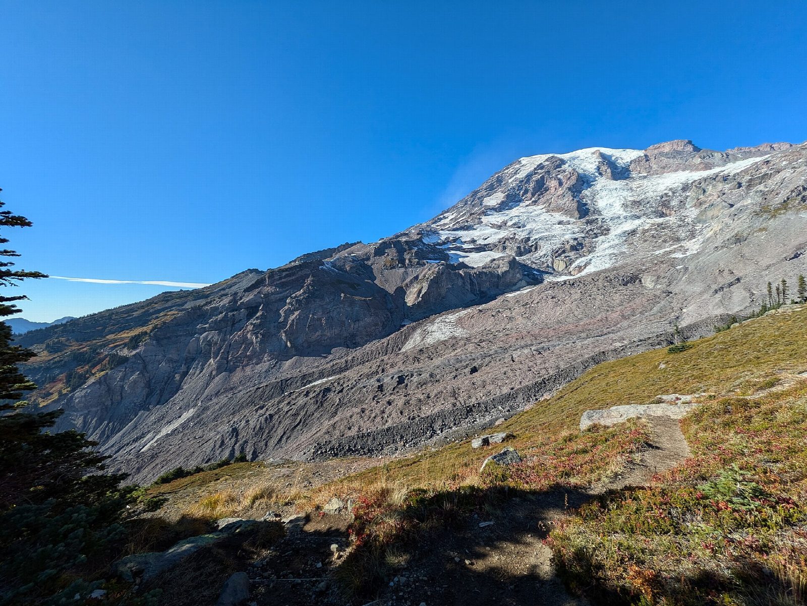 Skyline Trail Loop from Paradise