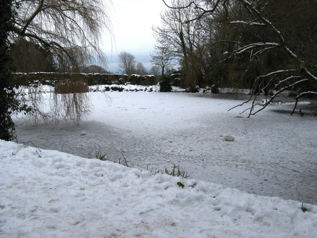 Slindon woods and Nore Folly