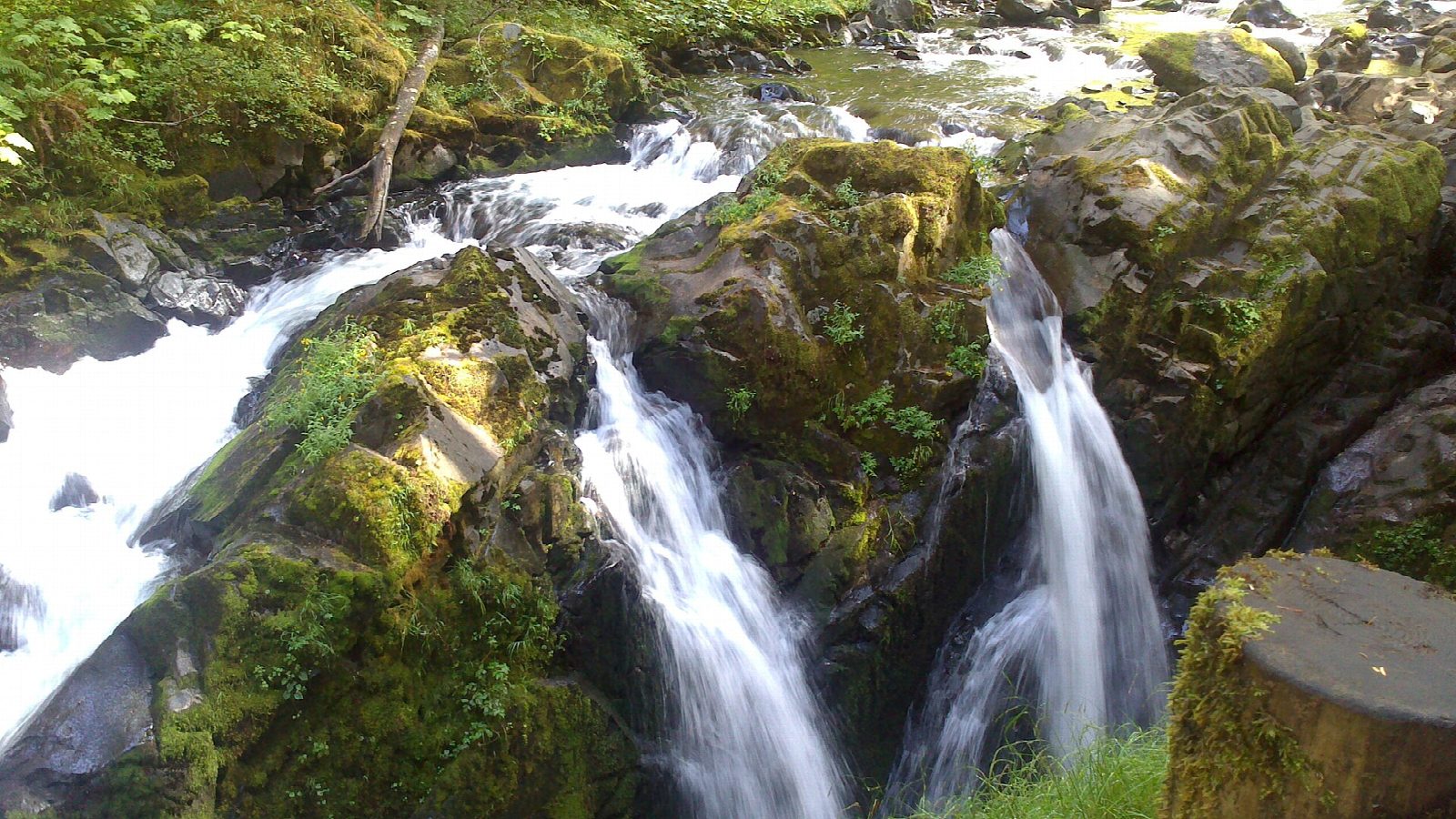 Sol Duc Falls and Deer Lake