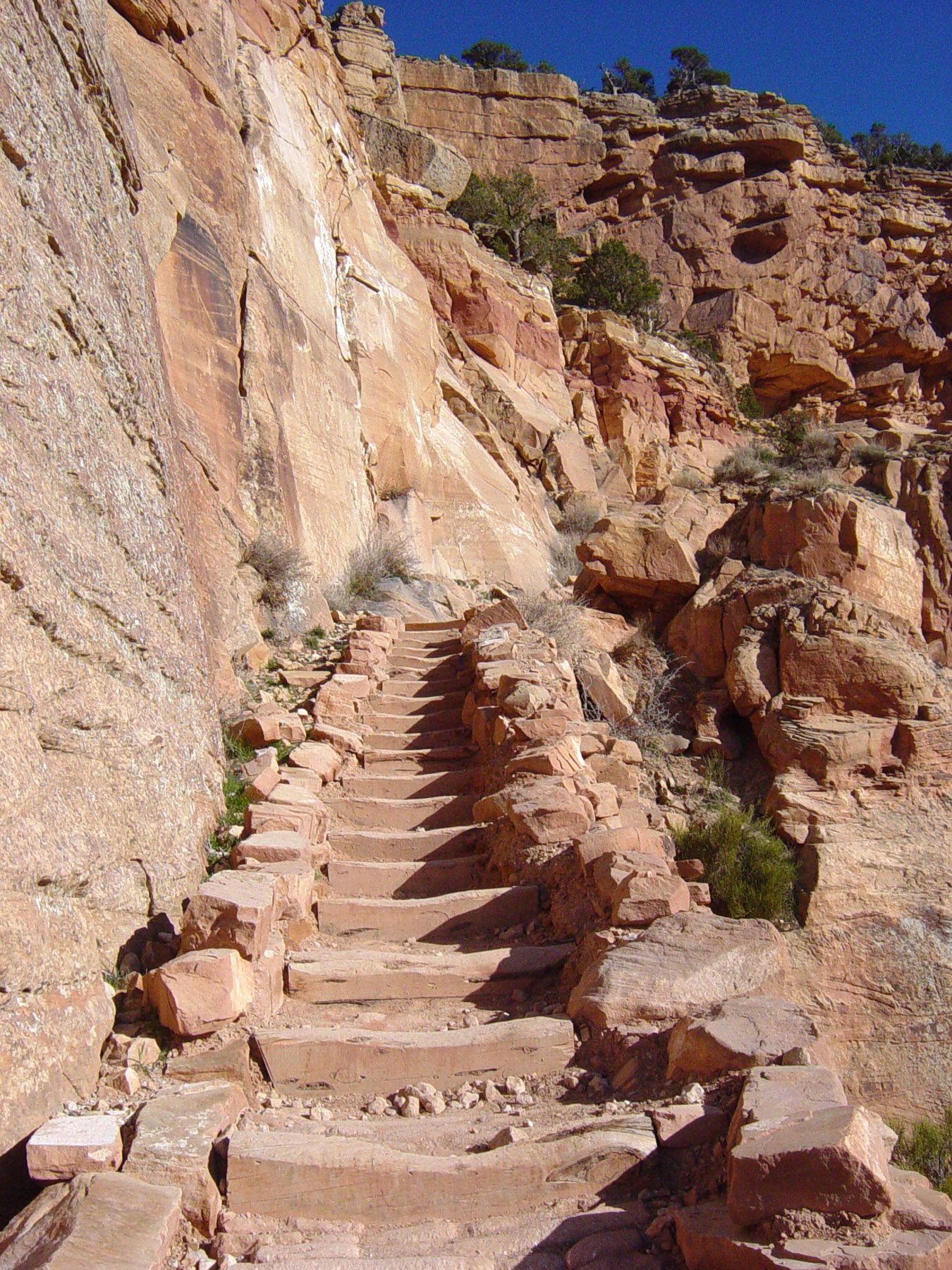 South Kaibab Trail to Cedar Ridge