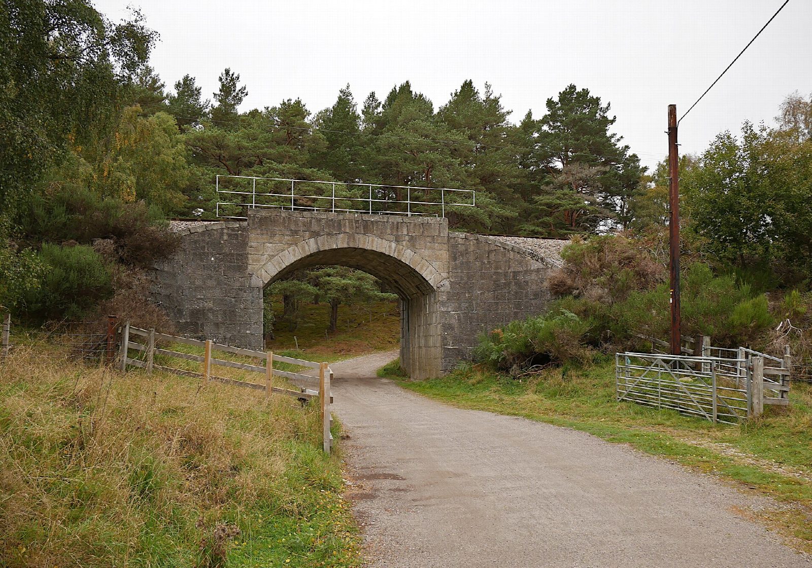 Aviemore to Boat of Garten on the Speyside Way