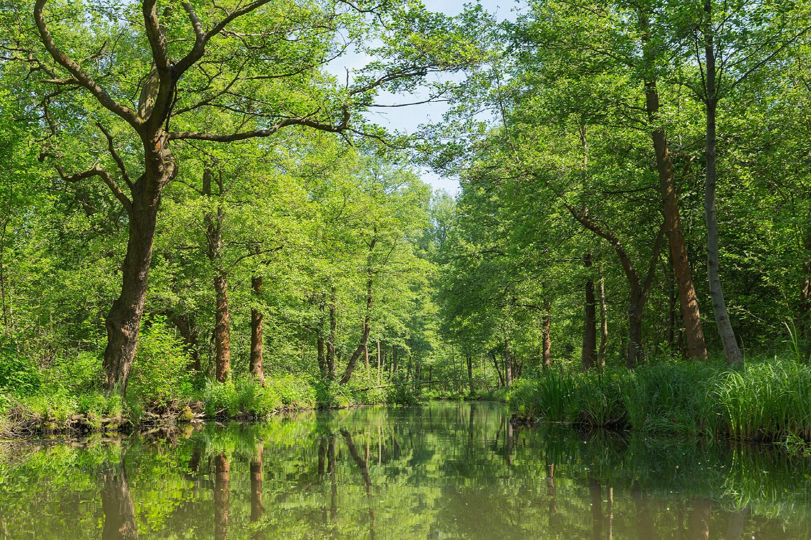Spreewald: Leipe to Lehde and back