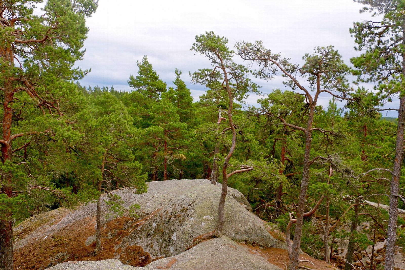 Stenkällan and Stenkälleklack in Tiveden