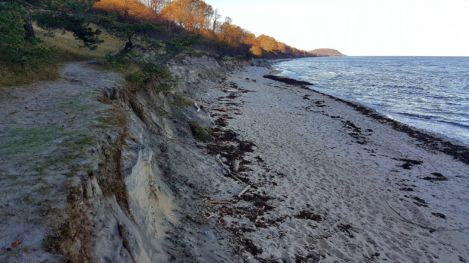 Stenshuvud summit and shore