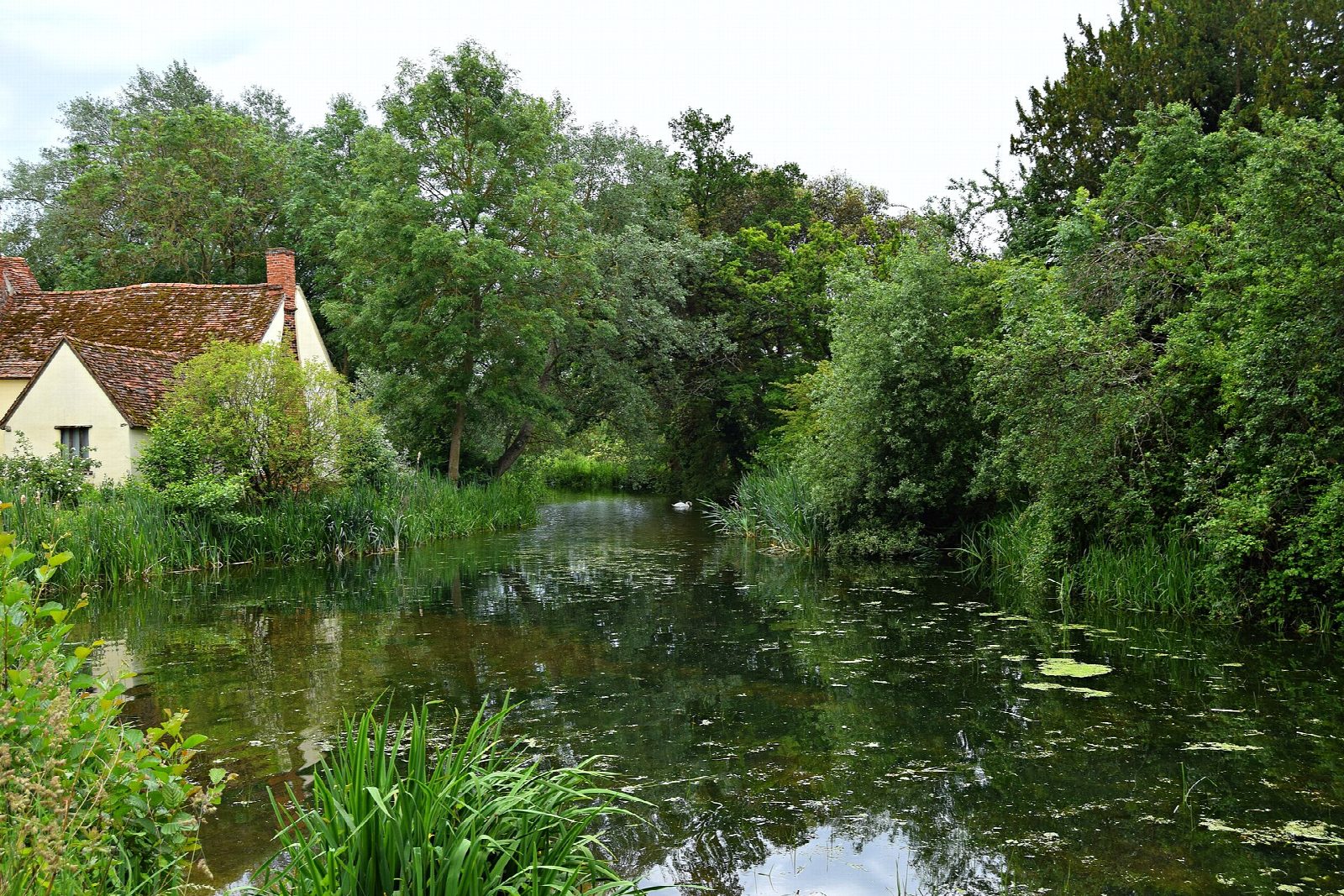 River Stour: Dedham to Flatford Mill