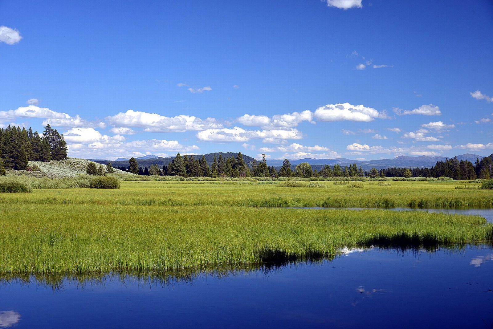 Swan Lake and Heron Pond from Colter Bay