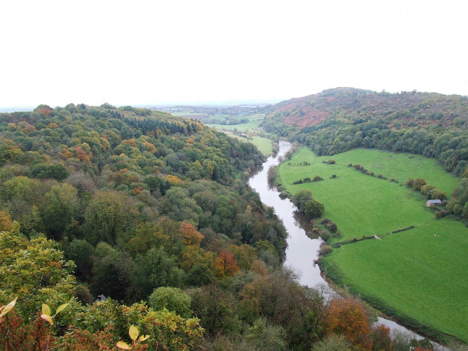 Symonds Yat Rock and the Wye at the Biblins