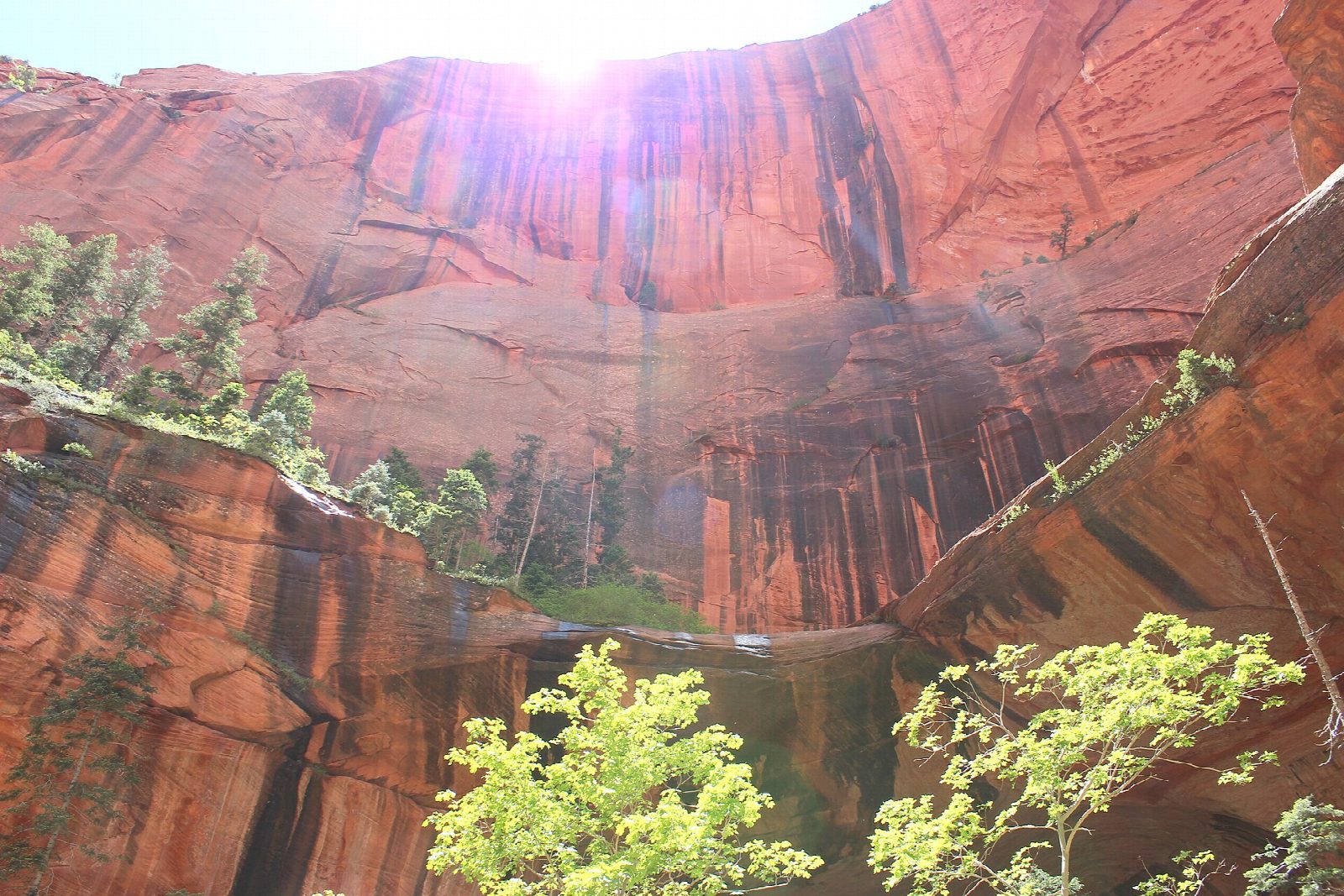 Middle Fork of Taylor Creek to Double Arch Alcove