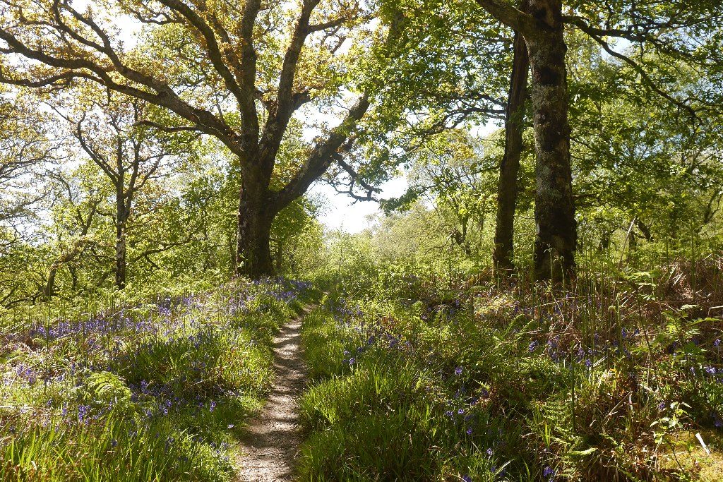 Taynish National Nature Reserve
