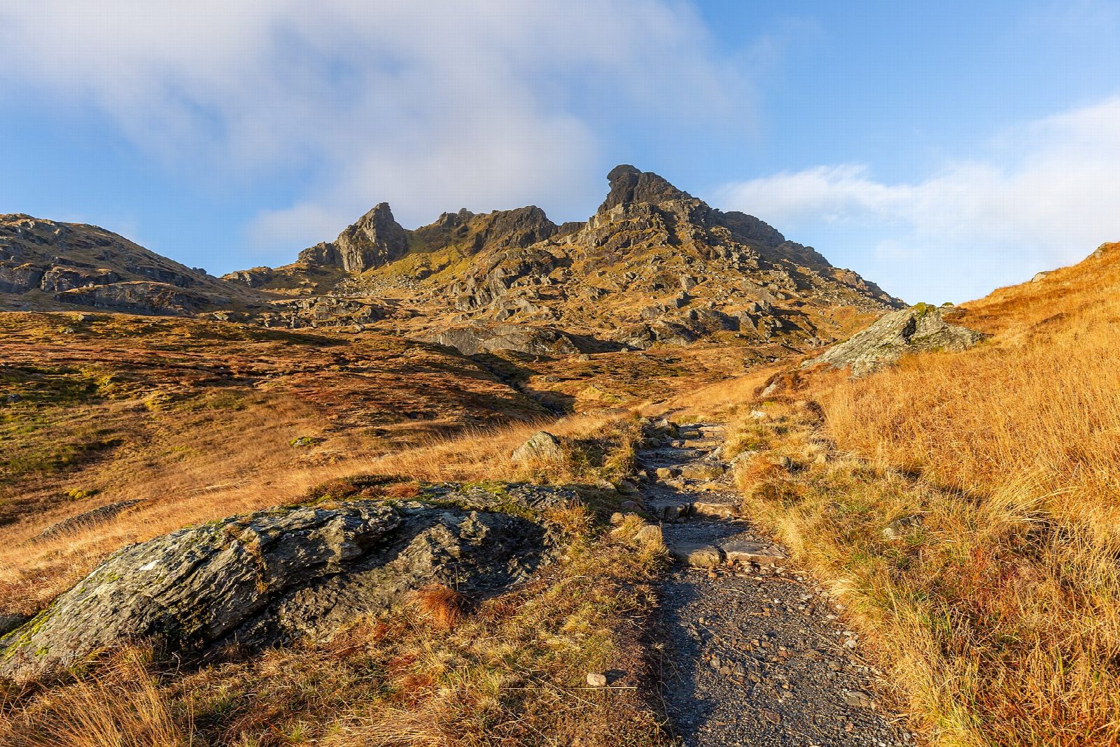 The Cobbler from Succoth