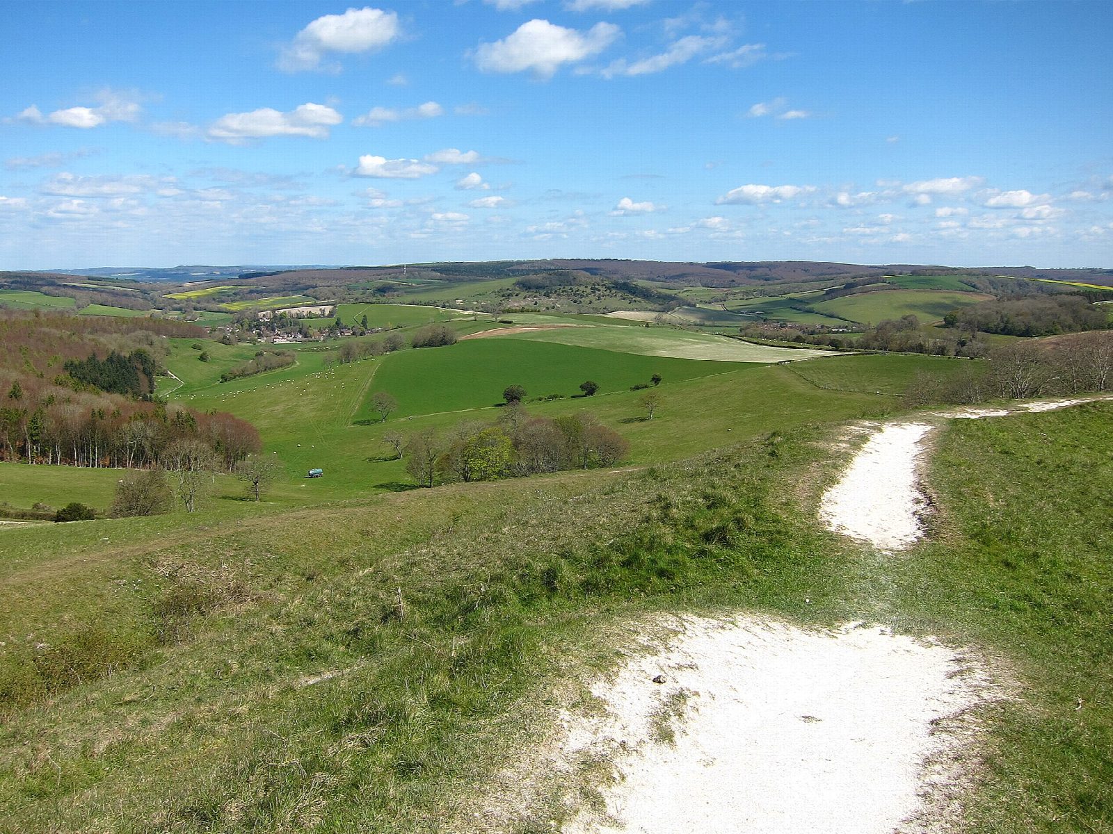 The Trundle, Charlton and Levin Down