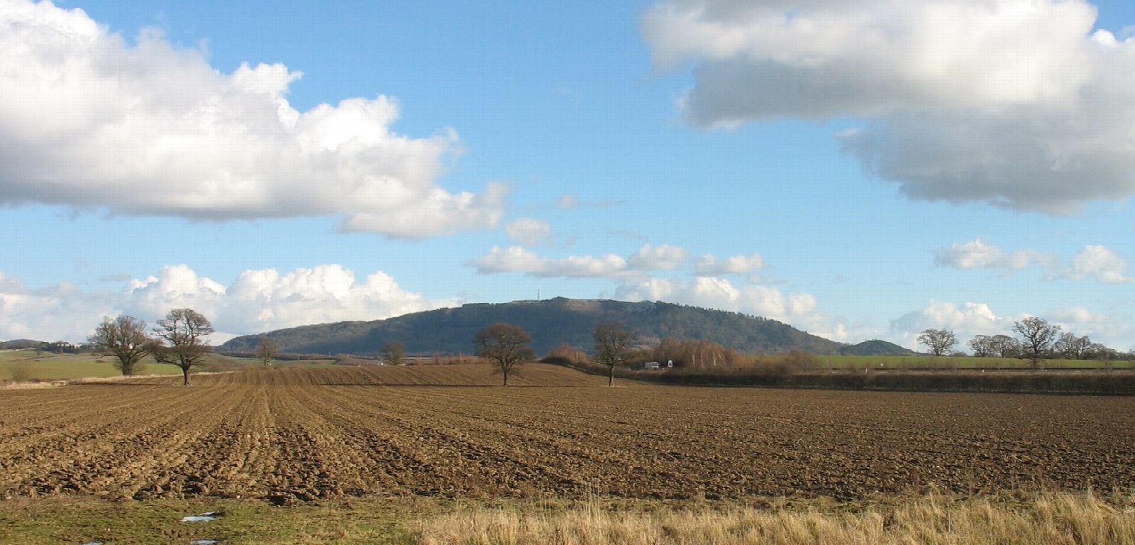 The Wrekin and the Ercall from Forest Glen