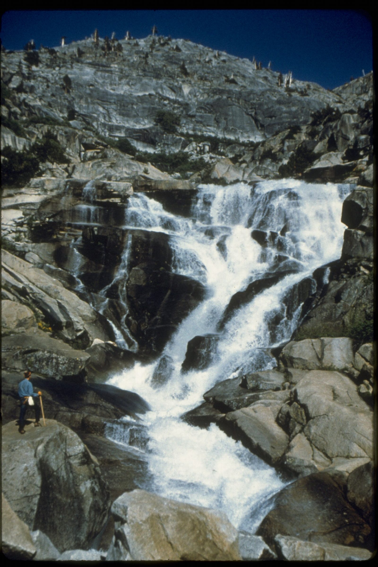 Tokopah Falls from Lodgepole