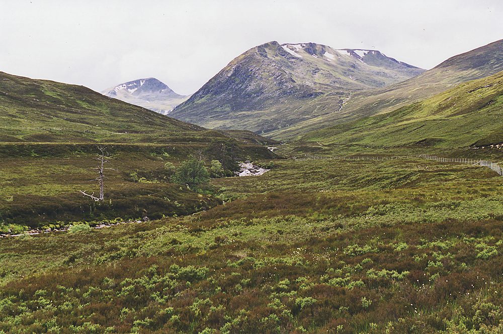 Tom a' Choinich and Toll Creagach from Glen Affric
