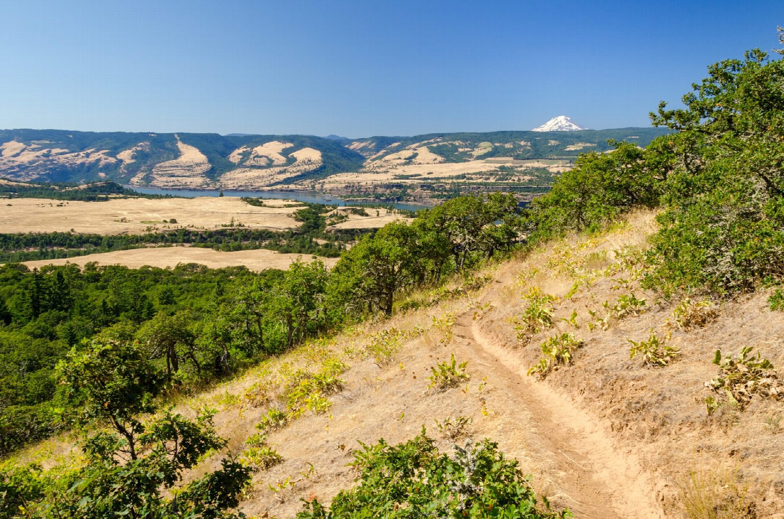 Tom McCall Point from Rowena Crest