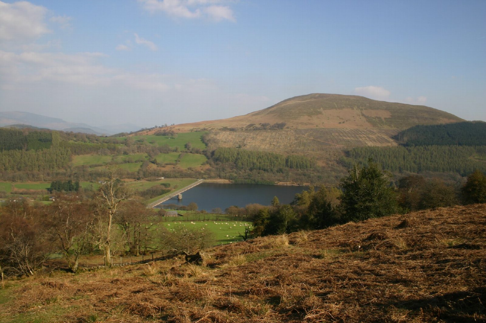Tor y Foel from Talybont-on-Usk