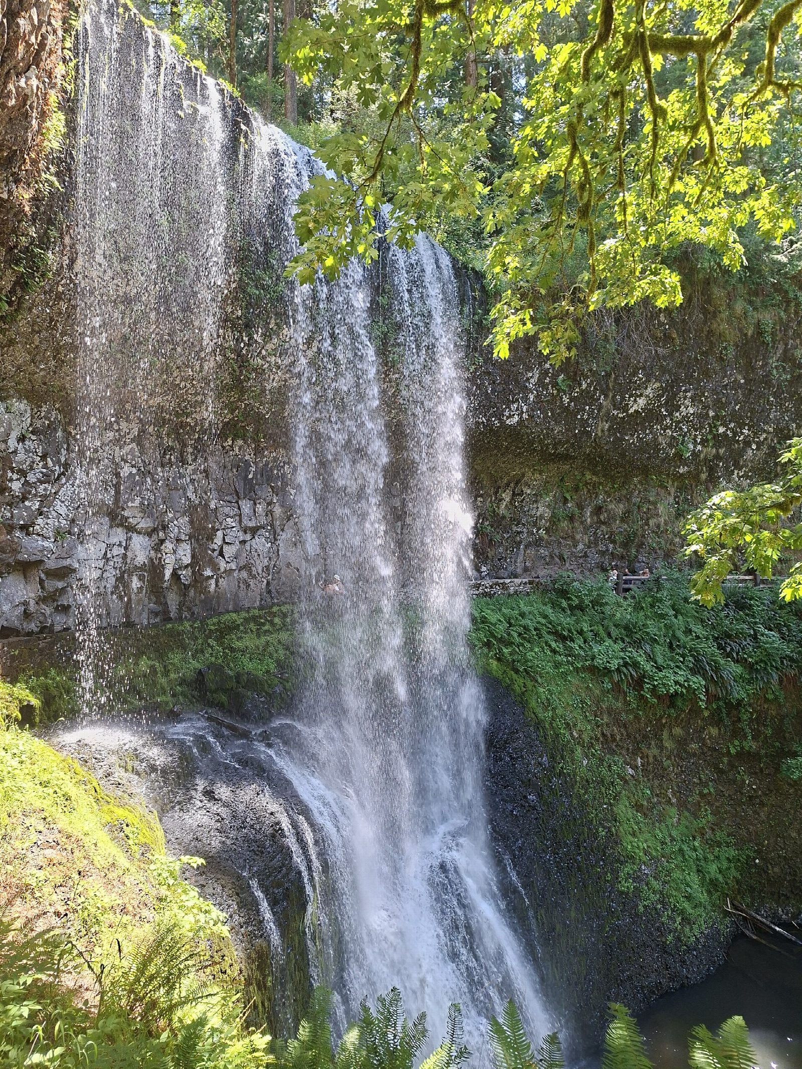 Trail of Ten Falls, Silver Falls State Park