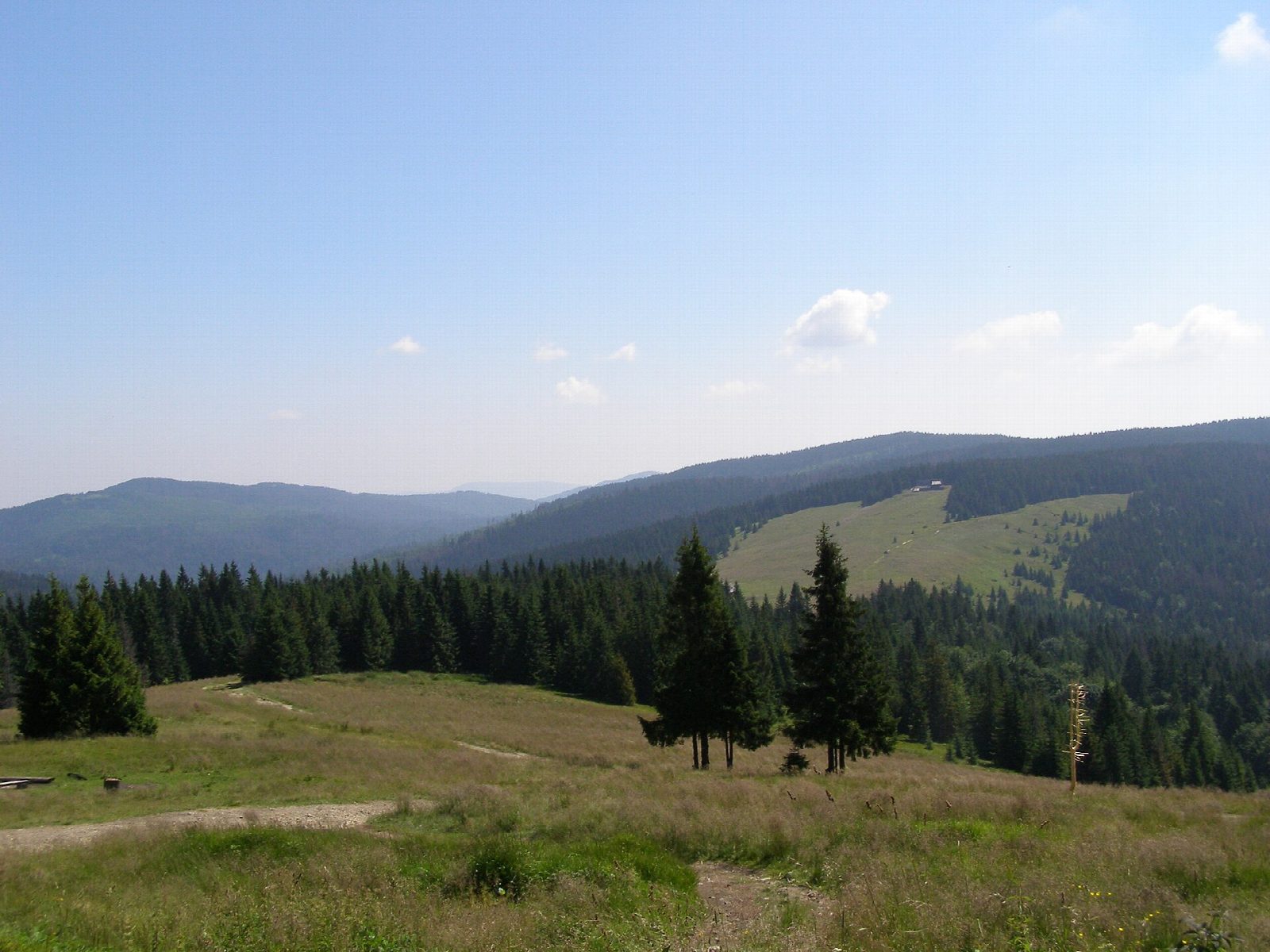 Turbacz from Koninki