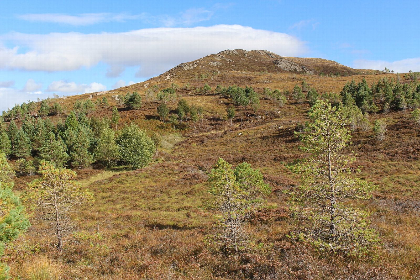 Ullapool Hill (Meall Mòr)